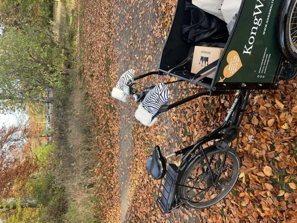 Østerbro Handsker>Kong Walther Online