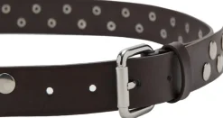 MANGO Studded belt Dark brown Hot