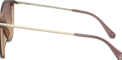 Michael Kors sunglasses Dusty rose light brown Online