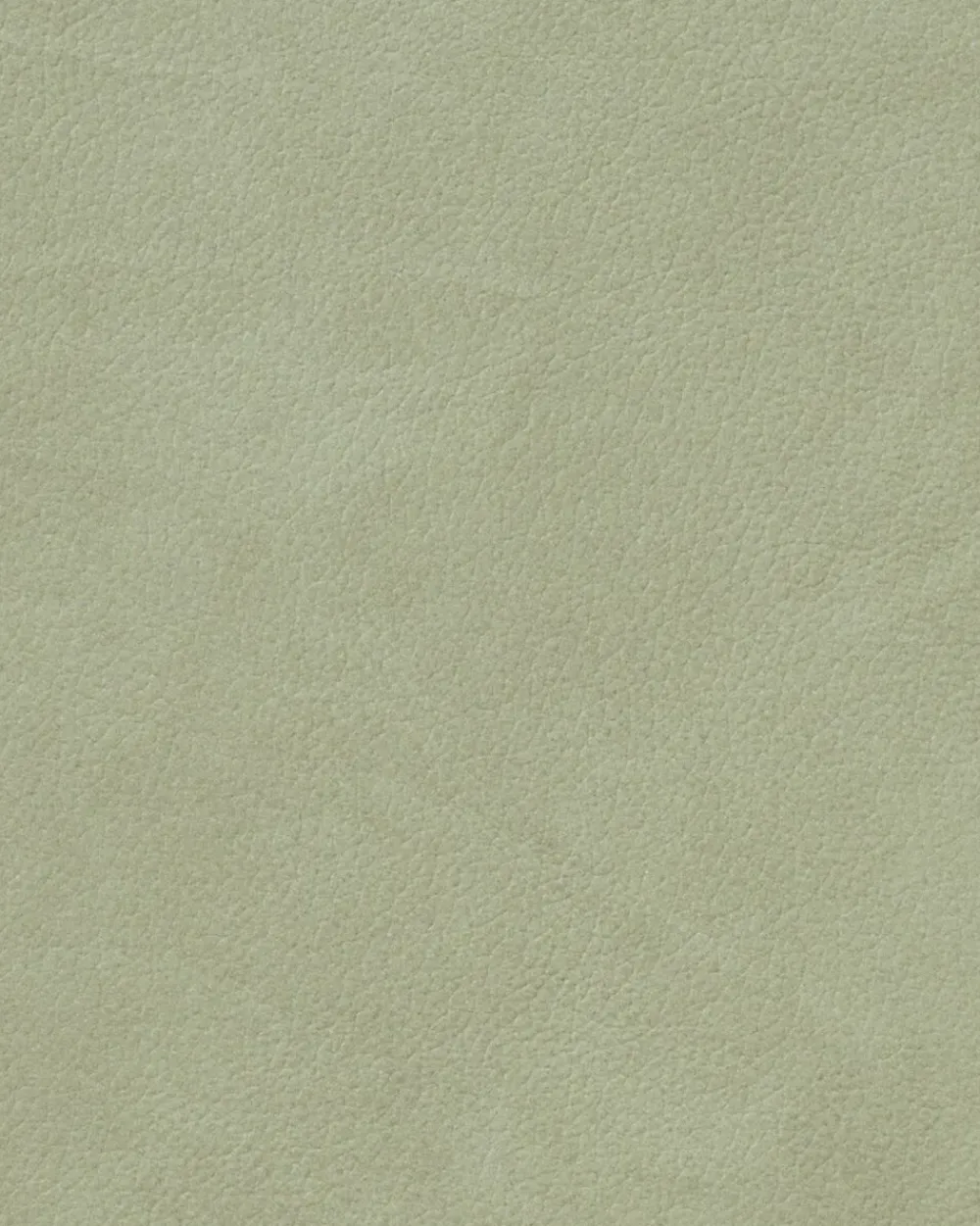 TABLE MAT CURVE L 37X44CM NUPO olive green>LIND DNA New