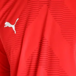 Puma Teamglory Jersey - Trænings T-shirt R&oslash;d New