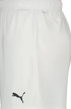 Dame Puma TeamGOAL Dame Shorts