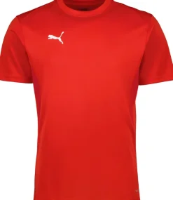 Puma TeamGoal Trænings T-shirt R&oslash;d Hot