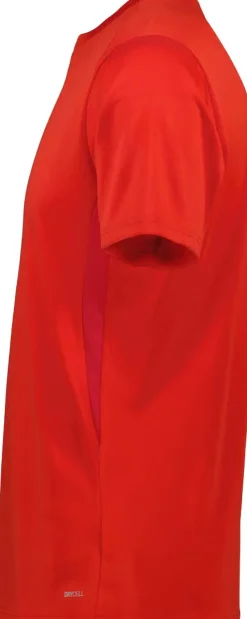 Puma TeamGoal Trænings T-shirt R&oslash;d Hot