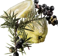 HERMÈS TERRE D' EAU GIVRÈE EAU DE PARFUM