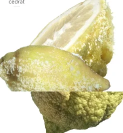 HERMÈS TERRE D' EAU GIVRÈE EAU DE PARFUM