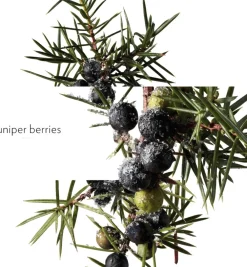 HERMÈS TERRE D' EAU GIVRÈE EAU DE PARFUM