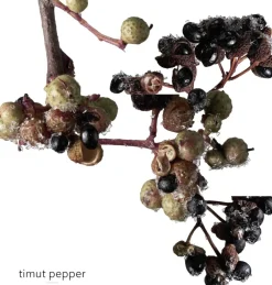 HERMÈS TERRE D' EAU GIVRÈE EAU DE PARFUM