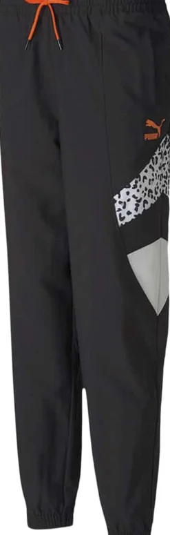 TFS Track bukser>Puma Best