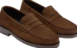 Dame Playboy The Norah