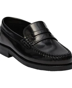 Dame Playboy The Norah