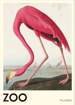 Poster & Frame The Zoo Collection Pink Flamingo Edt. 001 Flerfarvet New