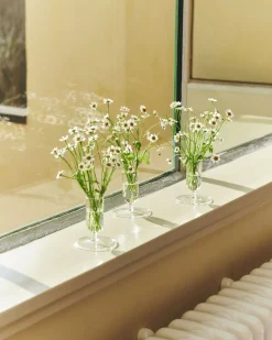 Tiny Vase-Clear><noscript><img width=