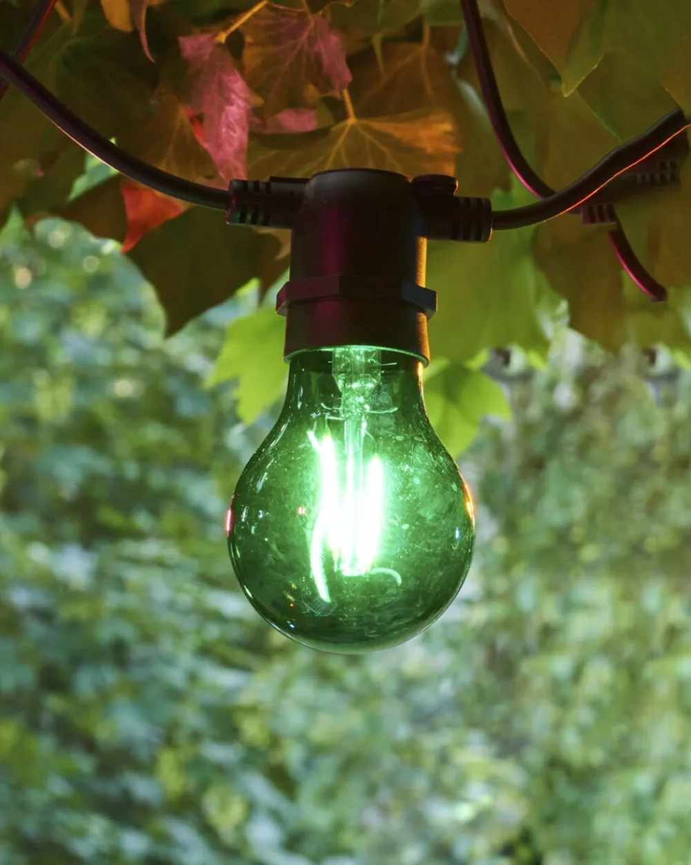 Sirius Tobias, Reservepære, Grøn Best