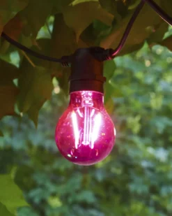 Sirius Tobias, Reservepære, Lilla Online