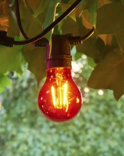 Sirius Tobias, Reservepære, Rød