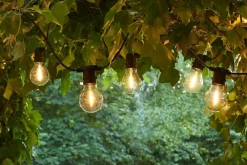 Tobias, Suppl. sæt,10L, Klar>Sirius Best