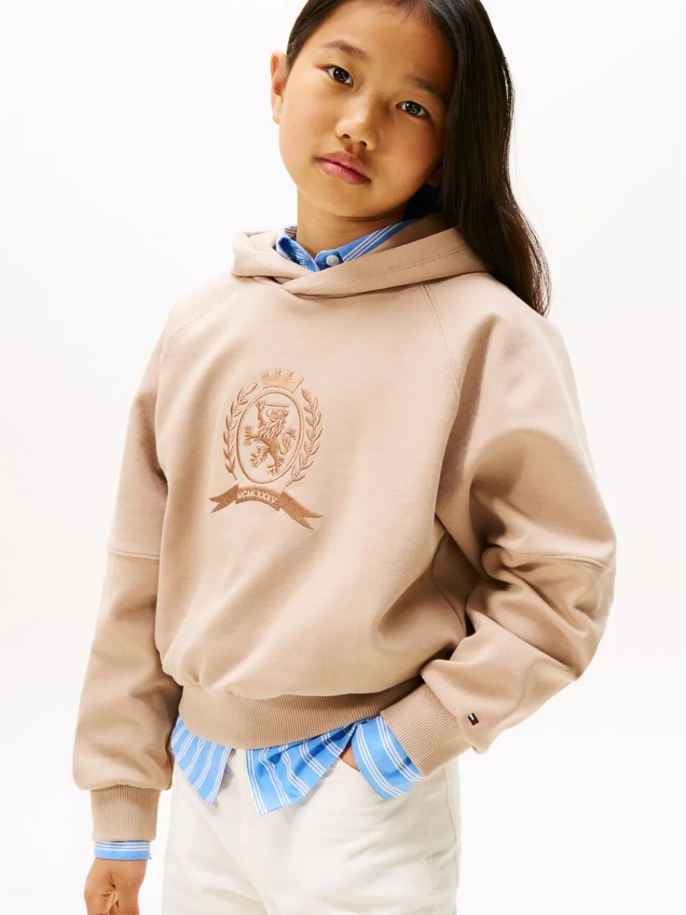 Tommy Hilfiger TONAL CREST HOODIE Malted milk