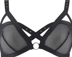 TRIANGLE RENCONTRE A>Aubade Best