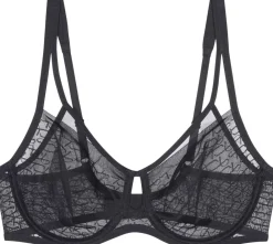 Dame Triumph Signature Sheer W01 EX