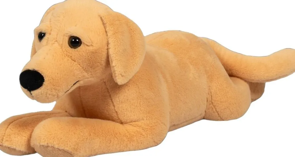 TYNGDEDYR HUND. 2,2 KG>Legetøj Online