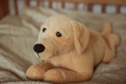 TYNGDEDYR HUND. 2,2 KG><noscript><img width=