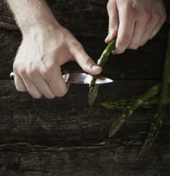 Urtekniv><noscript><img width=