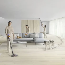 Dyson V15 Detect Absolute Best