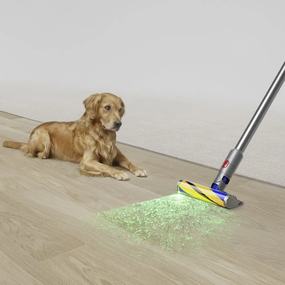 Dyson V15 Detect Absolute Best