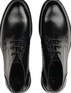 VIBE 325>Lloyd Outlet