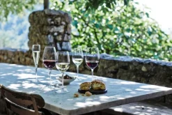 Luigi Bormioli Vinoteque maturo 2 stk. 49 cl.