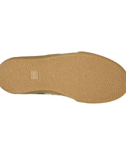 Volley><noscript><img width=