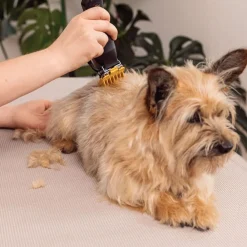 WAHL Hundeklipper Colour Pro Sale