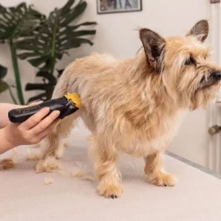 WAHL Hundeklipper Colour Pro Sale
