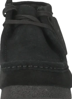 WallabeeEVO Bt G><noscript><img width=