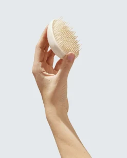 Hairlust Wet Hair Detangler Brush, White