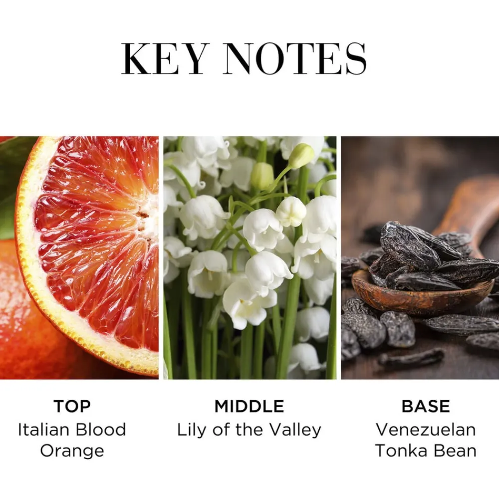 White Tea Eau de Toilette Fraiche>Elizabeth Arden Sale