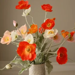 Botané Wild Poppy Dance