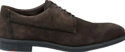 Lloyd X-MOTION 110 Brown Sale
