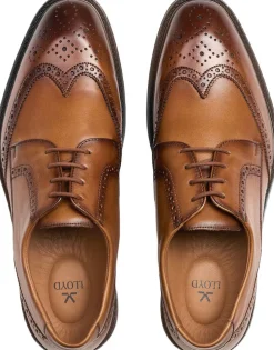 Lloyd X-MOTION 140W Brown Best