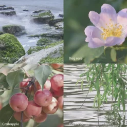 Skandinavisk ØY Shampoo 500ml