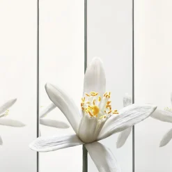 Yves Saint Laurent MYSLF Eau de Parfum