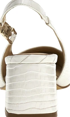 ZABELA><noscript><img width=