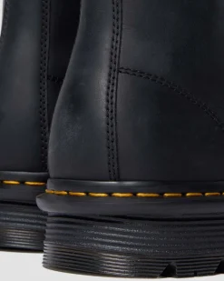 Zebzag Laceless><noscript><img width=