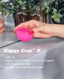 Ziggy Cup 2 Size B><noscript><img width=