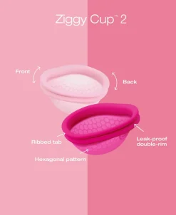 Ziggy Cup 2 Size B><noscript><img width=